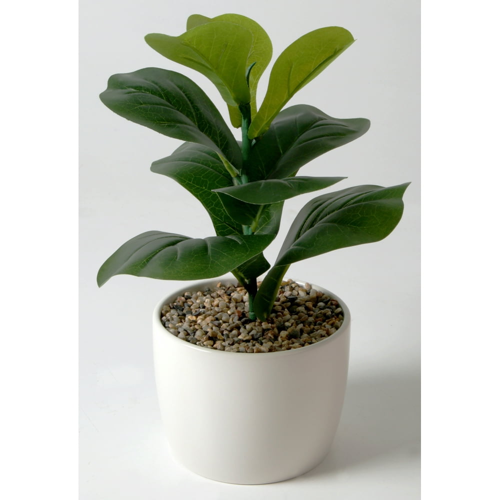 Mainstays Artificial Plant Faux Fiddle Leaf in White Planter, 6 inch ...