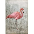 thumbnail image 2 of OToole, Tim 13x18 Black Ornate Wood Framed with Double Matting Museum Art Print Titled - American Flamingo I, 2 of 4