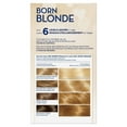 thumbnail image 4 of Clairol Nice'n Easy Born Blonde Blonding Kit, 4 of 6