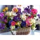 thumbnail image 3 of Cuadros Decorativos Kit de pintura de diamante 5D DIY Flores frescas Taladro redondo completo Regalo de decoración del hogar Ndcxsfigh Nuevos Originales, 3 of 9