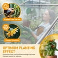 thumbnail image 6 of UBesGoo Walk-in Greenhouse for Outdoors,Durable & Functional Flower Garden Plant Kit Outside, Polycarbonate ,Ventilation Vents, Lockable Doors, Silver, 6 of 15
