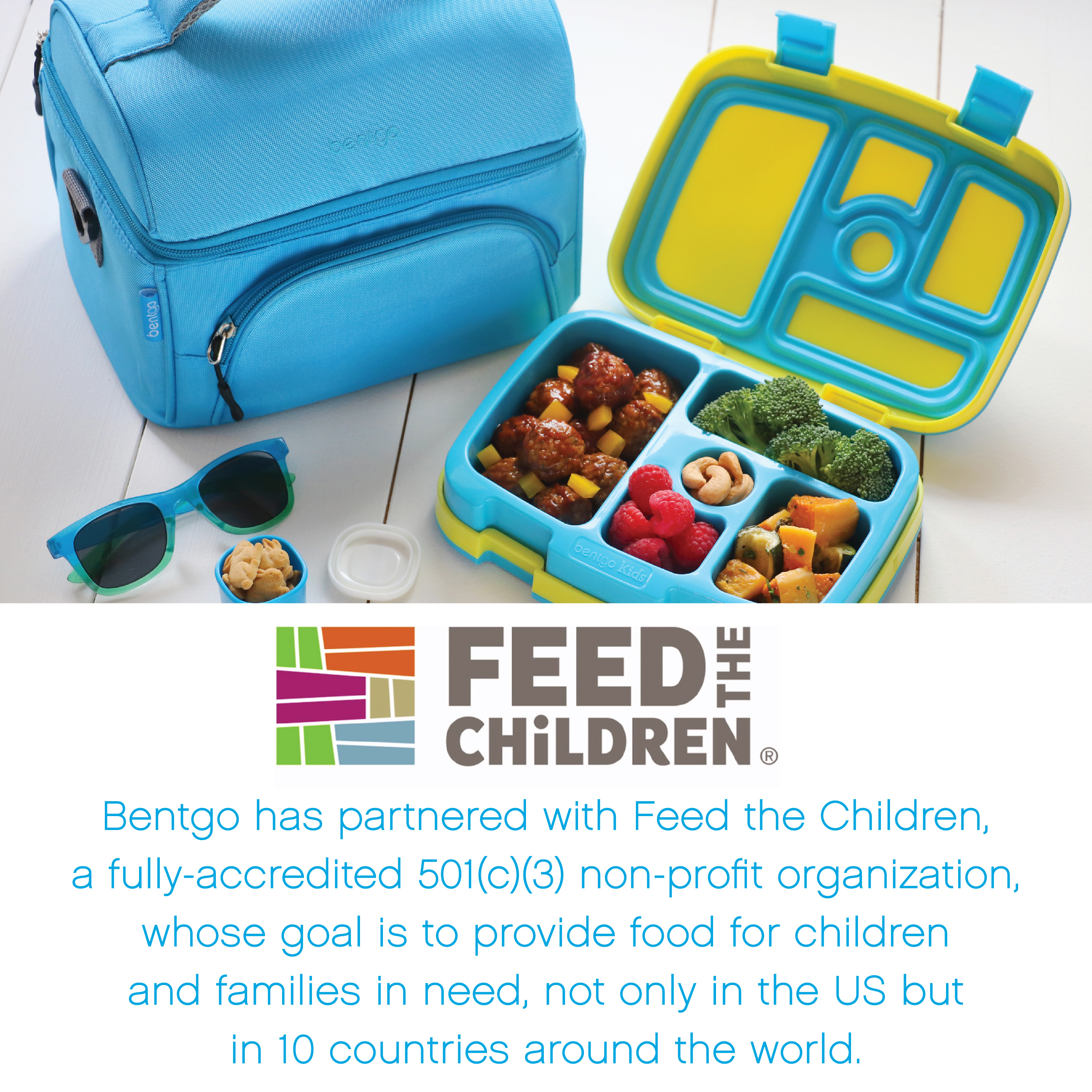 deluxe bentgo lunch bag