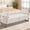 Cream White, variant on BaseBeauty 66" Storage Bench for Bedroom, End of Bed Bench with Gold Legs, Black Bench for Bedroom with 2 Pillows, Velvet