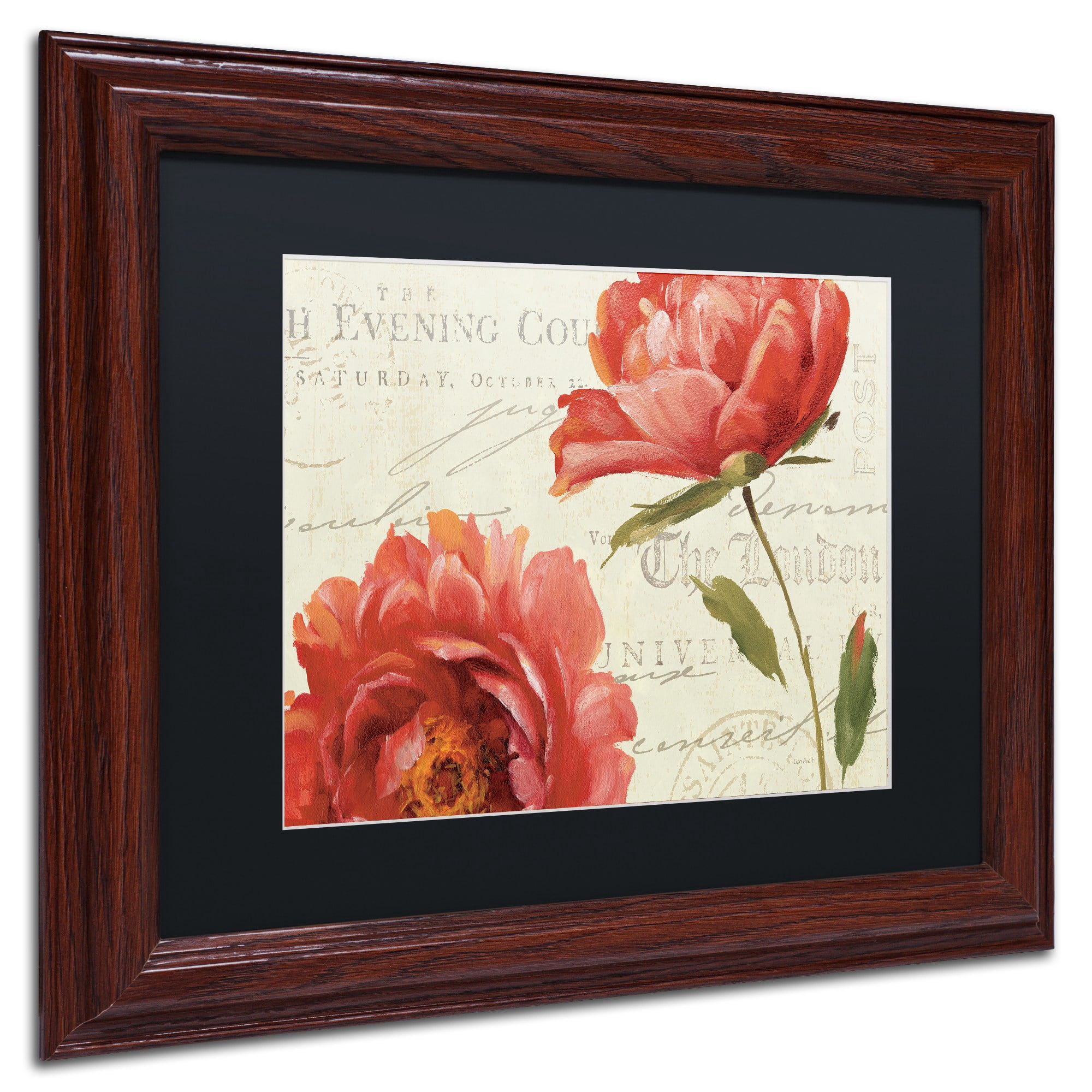 Trademark Fine Art "My Own Words II" Canvas Art by Lisa Audit, Black Matte, Wood Frame