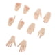 thumbnail image 1 of Modelos de mano de mujer 1/6 de 10 piezas para cuerpo de s femeninas de 12 pulgadas Natural SM SunniMix Manos femeninas de 12 pulgadas, 1 of 8