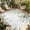 Sage Green, variant on Eucalyptus Leaf Outdoor Rug for Patio/Deck/Porch, Non-Slip Large Area Rug 4 x 6 Ft, Sage Green Botanical Floral Spring Indoor Outdoor Rugs Washable Area Rugs, Reversible Camping Rug Carpet Runner