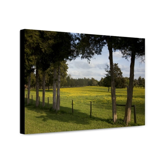 Canvas Print: Rural Alabama In The Spring, 2010
