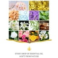 thumbnail image 4 of Aromatherapy Essential Oil Set for Aromatherapy Diffuser Humidifier Gift Box, 4 of 8