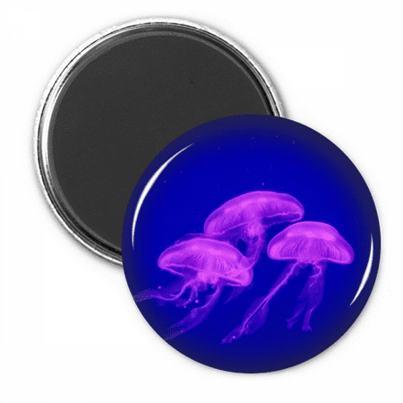 

Ocean Jellyfish Science Nature Picture Refrigerator Magnet Sticker Decoration Badge