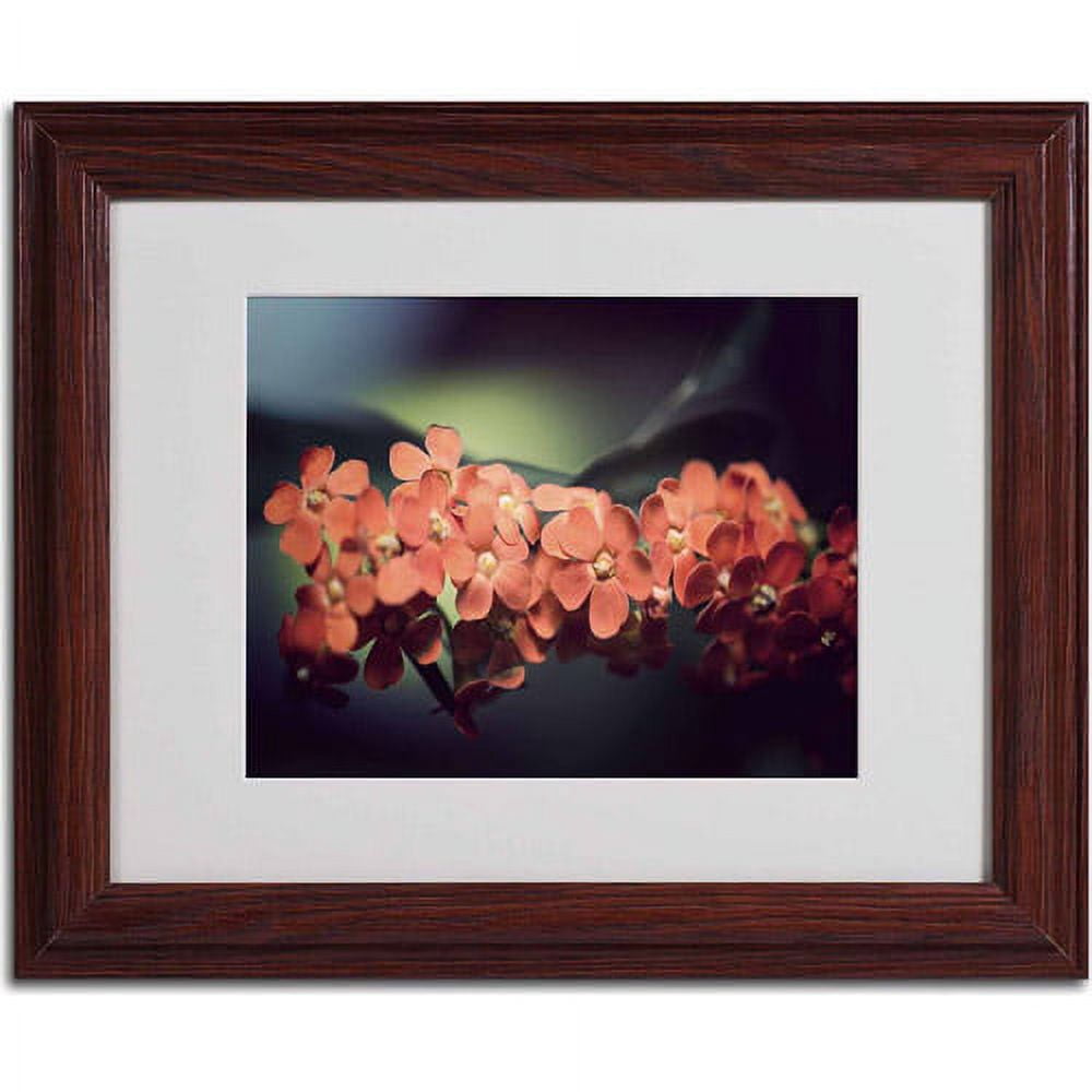 Trademark Fine Art "Flowers Waiting" Canvas Art by Philippe Sainte-Laudy, Wood Frame