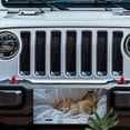 thumbnail image 5 of License Plate, Sleeping Kitten Decorative Front,Personalized Stainless Steel License Plate Cover For Men Women,12.2" X 6.2", 5 of 6