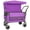 Purple, variant on GDF Studio Push-Pull Folding Beach Wagon with Canopy, Balloon Tires, Large Capacity for Transport, Groceries, Black