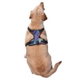 thumbnail image 2 of Naloa Hip-Hop DJ Dolphin Pet Harness Vest with Traction Rope, Adjustable No-Choke Dog Vest for Outdoor, Walking - Medium, 2 of 4