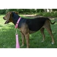 thumbnail image 2 of HSHDLDF Pink Martingale Heavy Duty Nylon Dog Collar 21 Vibrant Color Options (1 Inch Width, Large), 2 of 7