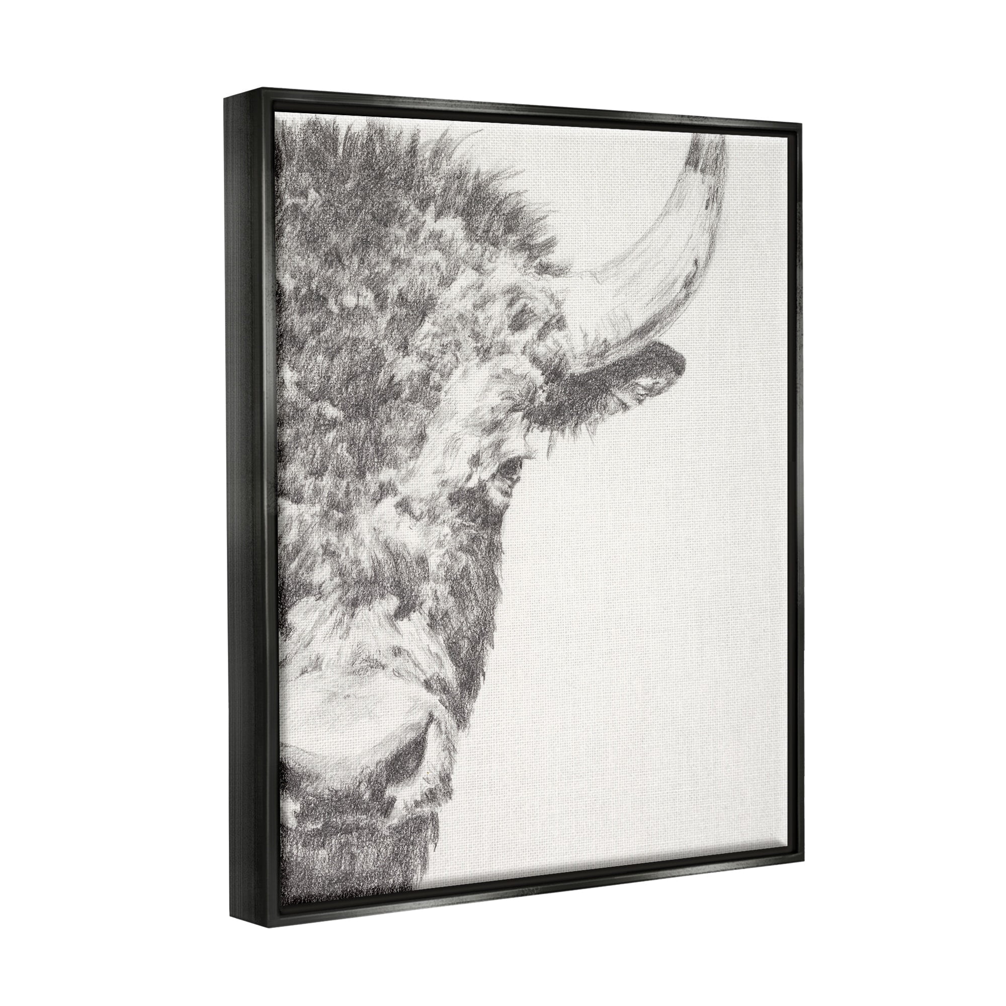 Stupell Industries Rural Bison Animal Drawing Detailed Graphite Wildlife Drawing Print Jet Black Floating Framed Canvas Print Wall Art, Design by Ethan Harper