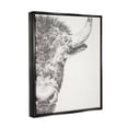 thumbnail image 2 of Stupell Industries Rural Bison Animal Drawing Detailed Graphite Wildlife Drawing Print Jet Black Floating Framed Canvas Print Wall Art, Design by Ethan Harper, 2 of 5