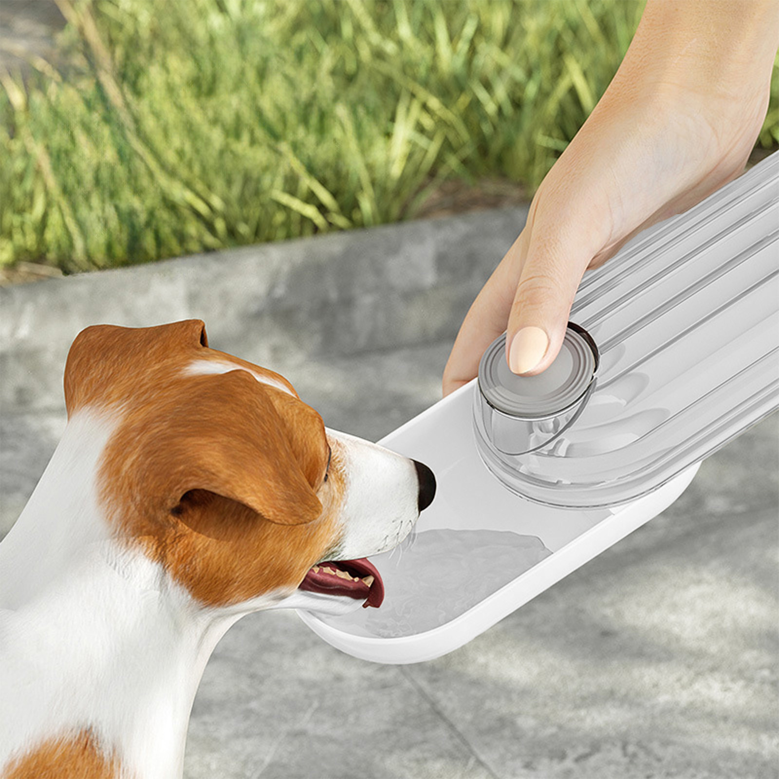 2-in-1 Portable Dog Water Bottle & Food Container, Travel Bowl for Dogs On The Go with One-Hand Dispenser, Leak Proof Design & Integrated Storage (Green)