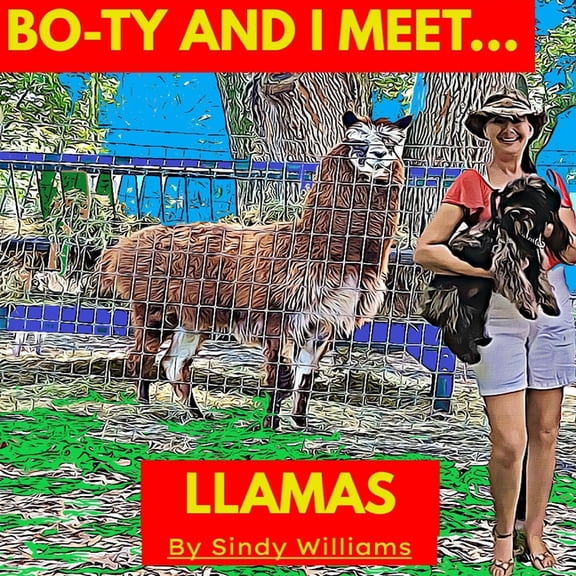 Bo-Ty and I Meet Llamas, (Paperback)