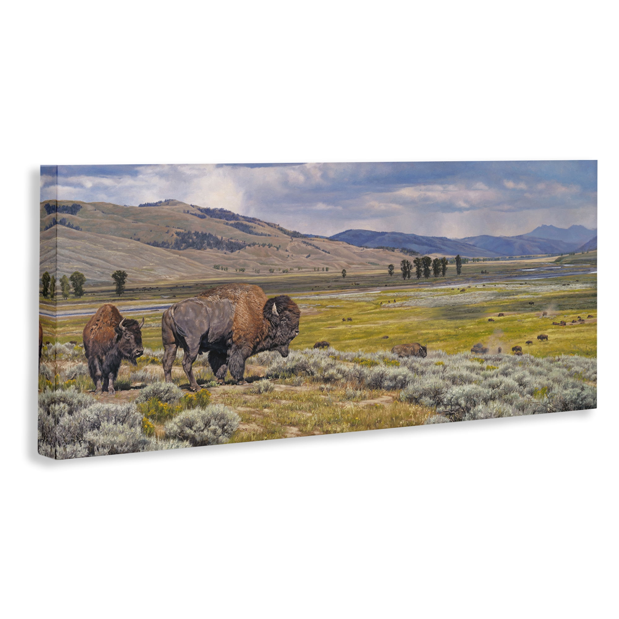 Stupell Industries Roaming Southwestern Bison Landscape Painting Gallery Wrapped Canvas Art Print Wall Art, 30 x 13