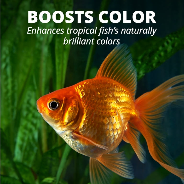 Goldfish flakes for tropical fish online