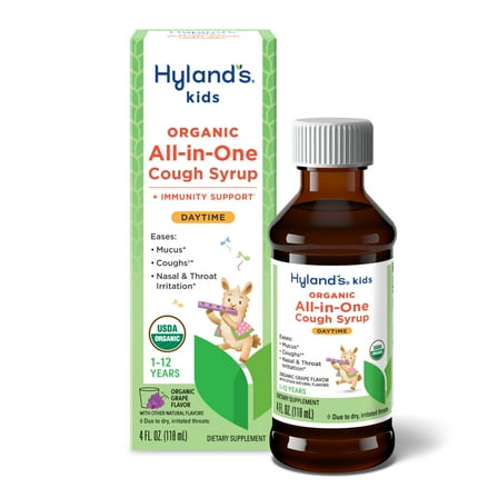 Hyland's Kids, Organic All-in-One Cough Syrup, Ages 1-12, Daytime, 4 fl oz