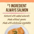 thumbnail image 3 of Merrick Lil Plates Small Salmon Recipe Dog Treat, 5Oz, 3 of 3
