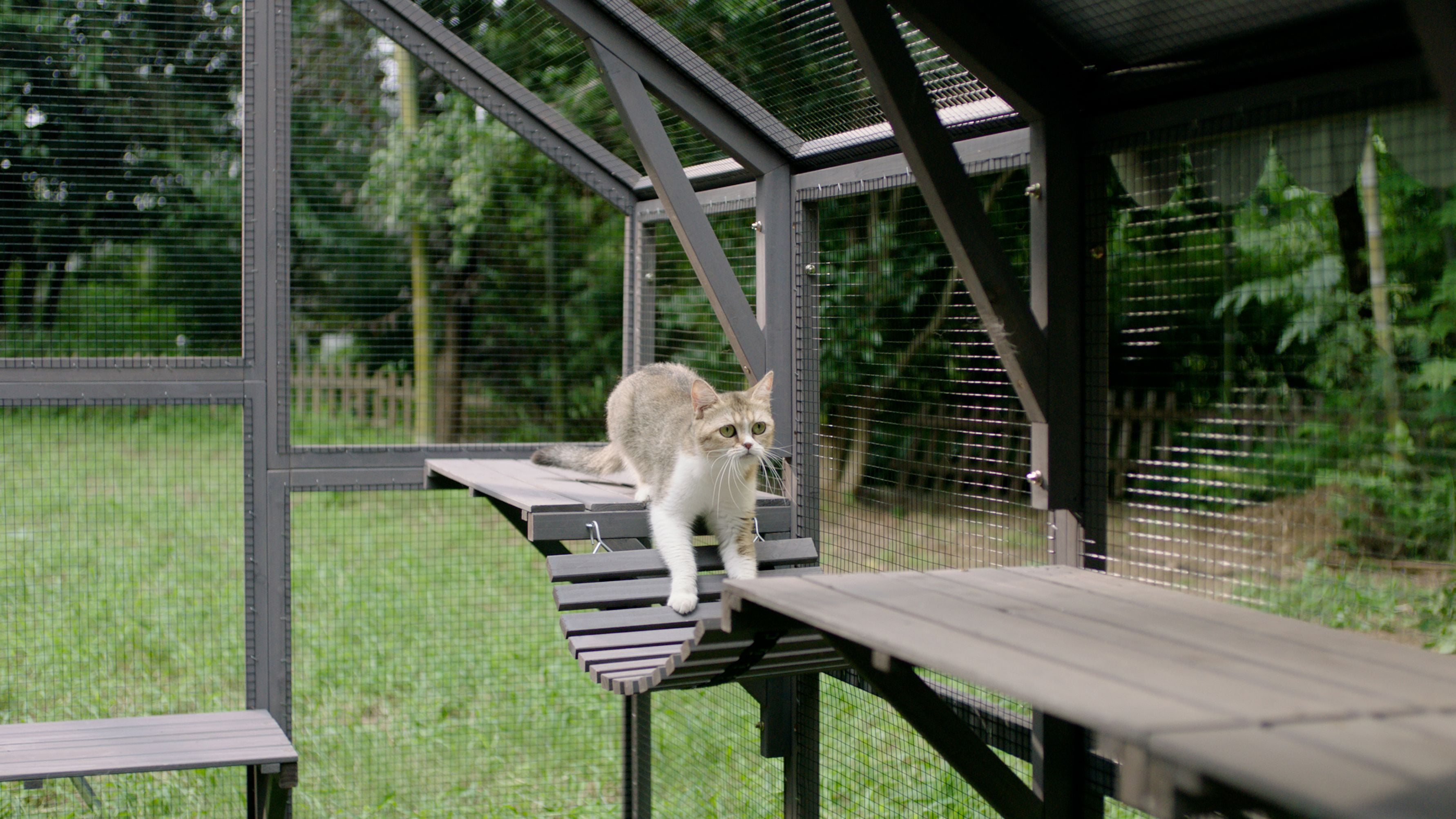 Aivituvin 110'' Extra Large Catio Outdoor Cat Enclosure, Walk-in Wooden Cat Cage with Bridges, Platforms, Rest Rooms, Roof Cover