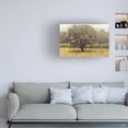 thumbnail image 3 of James Wiens 'Golden Trees I Taupe' Canvas Art, 3 of 3