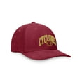 thumbnail image 3 of Men's Cardinal Iowa State Cyclones Hammer Adjustable Hat, 3 of 4
