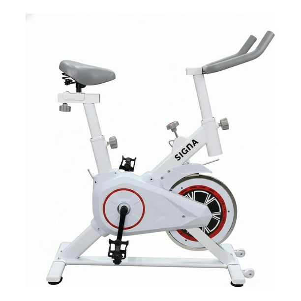 Bicicleta Spinning Fija Estática Ajustable Ejercicio Cardio