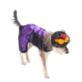 thumbnail image 3 of Disfraz Catrina P/Perro Talla 00 Color Morado/Negro Pet Pals Pet Pals CATR00, 3 of 6