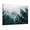 D, variant on XaaKee Conifer Fog Canvas Wall Art Mystical Misty Forest Art Prints Inner Framed 18*12Inch