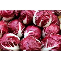 100 Seeds ROSSA Di VERONA RADICCHIO Endive Italian Cichorium Intybus Vegetable