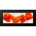 thumbnail image 2 of Jenny, Thomlinson 18x9 Black Modern Framed Museum Art Print Titled - Bright Poppies, 2 of 5