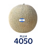 Fresh Cantaloupe, Each