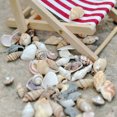 thumbnail image 2 of SPRING PARK Approx 40 Pcs Miniature Dollhouse Sea Shell Bonsai Lanscape DIY Decor, 2 of 6