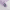 White/Lavender, variant on Crocs Unisex Baya Lined Fuzz Strap Clogs