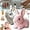 2pcs-1, variant on Fanyil Bunny, Family/Libiyi/Pets Boro/Yifare/Petsboro,Bunnypal, Bunby - My Realistic Bunny Toy, Interactive Stuffed Animal Rabbit Toy That Moves, Jumping, Twitching, and Ears (Brown)