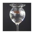 thumbnail image 5 of 6st växtvattnare självbevattningsglob självbevattning handblåst klart glas växtvattenlampa för in, 5 of 5