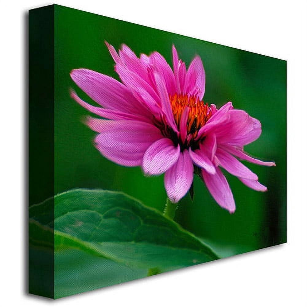Trademark Fine Art "One Pedal at a Time" Canvas Wall Art by Lois Bryan