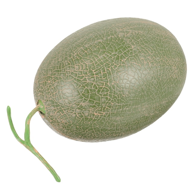 Simulación artificial modelo de melón realista Cantaloupo falso real
