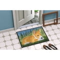 thumbnail image 4 of Carolines Treasures SS8016MAT 18 x 27 in. Basenji Indoor Outdoor Mat, 4 of 4