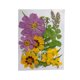 thumbnail image 1 of Moyic Artesanía de flores secas naturales Flores prensadas Ramos en relieve Decoración para tarjetas de boda Pintura de álbum de recortes Flores artificiales  Geben Sie 6 ein Moyic HA010760-06, 1 of 6