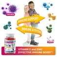 thumbnail image 7 of Dr, Moritz Elderberry Gummies for Kids and Toddlers - Natural Immune System Booster and Health Support with Black Sambucus Elderberries Extract - Vitamin and Zinc Herbal Immunity Boost Supplement, 7 of 7