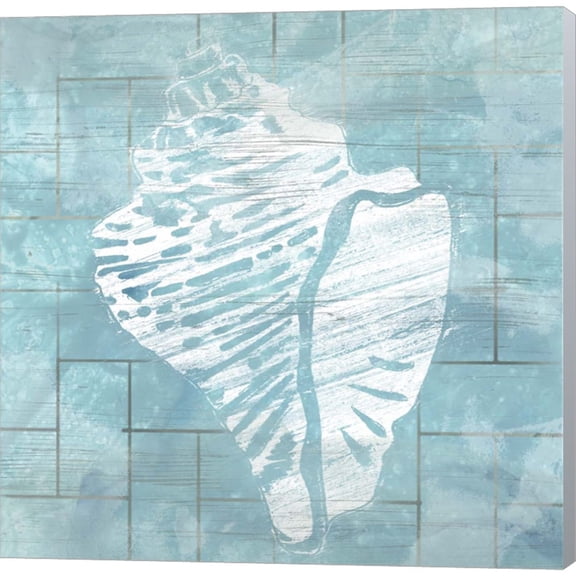 Cerulean Shell III by June Erica Vess, Canvas Wall Art, 12W x 12H