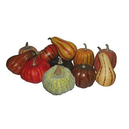 Nine West Mini - WEST COAST MINI NATURAL PUMPKIN DECORATION ASSORTED CHOICES MAY VARY