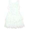 thumbnail image 1 of Biscotti Girls' Drop Waist Dress Wedding Party, Sizes 4-16 - 8, 1 of 2