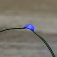 thumbnail image 2 of Fairy Lights LED Fairy Lights Battery Operated Green Wire 6 Feet Blue, 2 of 3