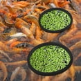 thumbnail image 2 of 10 Uds anillos de plantas flotantes para acuario anillos de alimentación de peces anillos circulares de plantas para pecera, 2 of 5