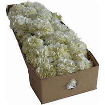 Kabloom 30 Fresh White Hydrangeas, Cut Flowers